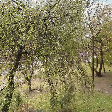 Beautiful For 4 People By Renters Wrocław